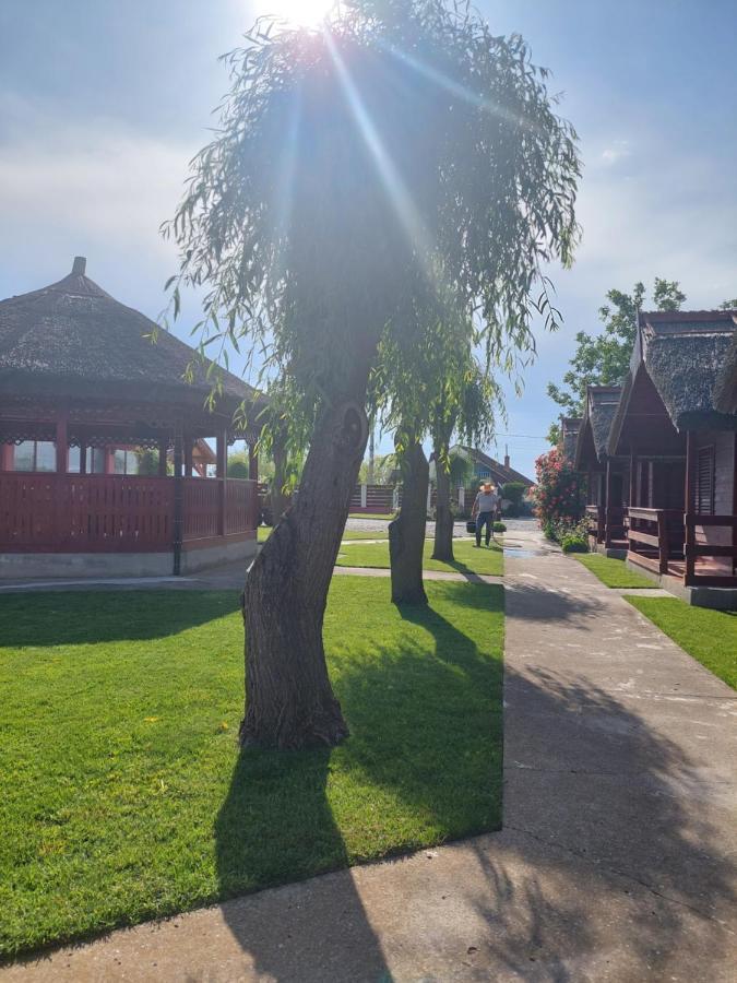 Pensiunea La Tavi Муригьол Экстерьер фото