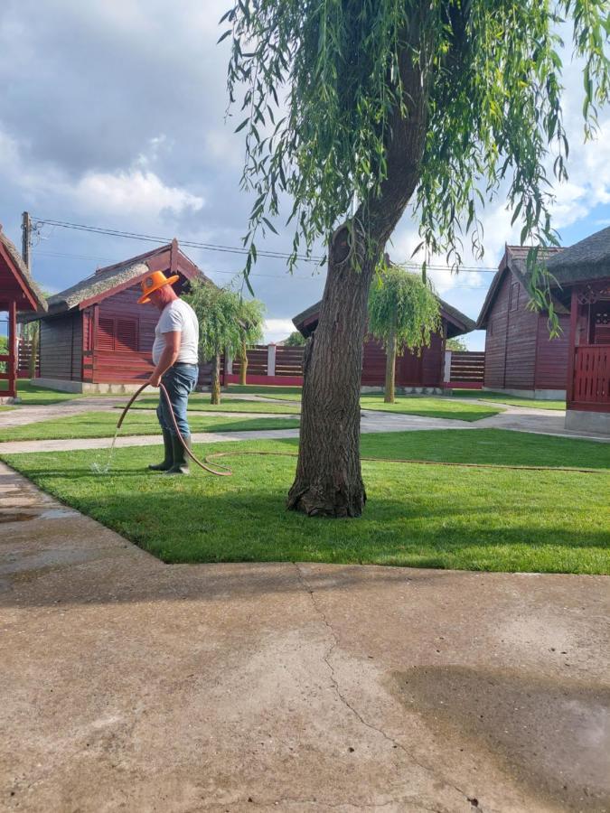 Pensiunea La Tavi Муригьол Экстерьер фото